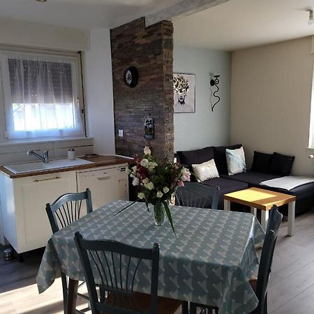 Appartement Au Cigogneau Wifi-Netflix-Balcon-Parking Munster  Kültér fotó