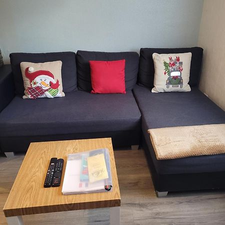 Appartement Au Cigogneau Wifi-Netflix-Balcon-Parking Munster  Kültér fotó