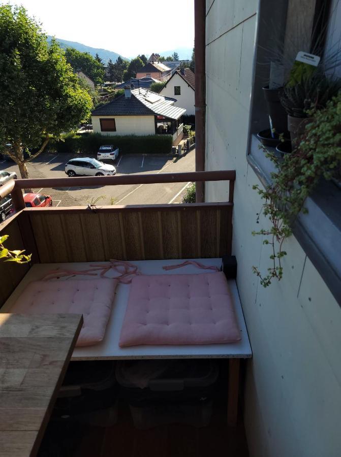 Appartement Au Cigogneau Wifi-Netflix-Balcon-Parking Munster  Kültér fotó