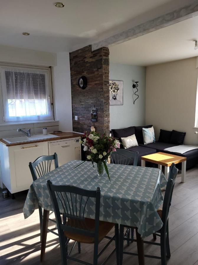 Appartement Au Cigogneau Wifi-Netflix-Balcon-Parking Munster  Kültér fotó