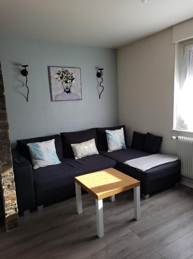 Appartement Au Cigogneau Wifi-Netflix-Balcon-Parking Munster  Kültér fotó