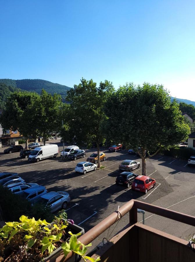 Appartement Au Cigogneau Wifi-Netflix-Balcon-Parking Munster  Kültér fotó